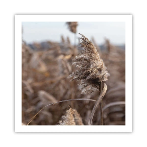 Pôster - É hora de voar com o vento - 60x60 cm
