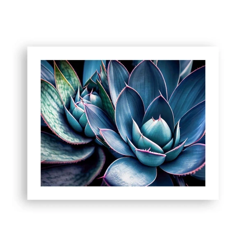 Pôster - Força vital - 50x40 cm