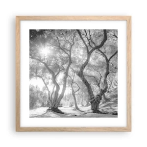 Pôster com moldura de carvalho claro - No olival - 40x40 cm