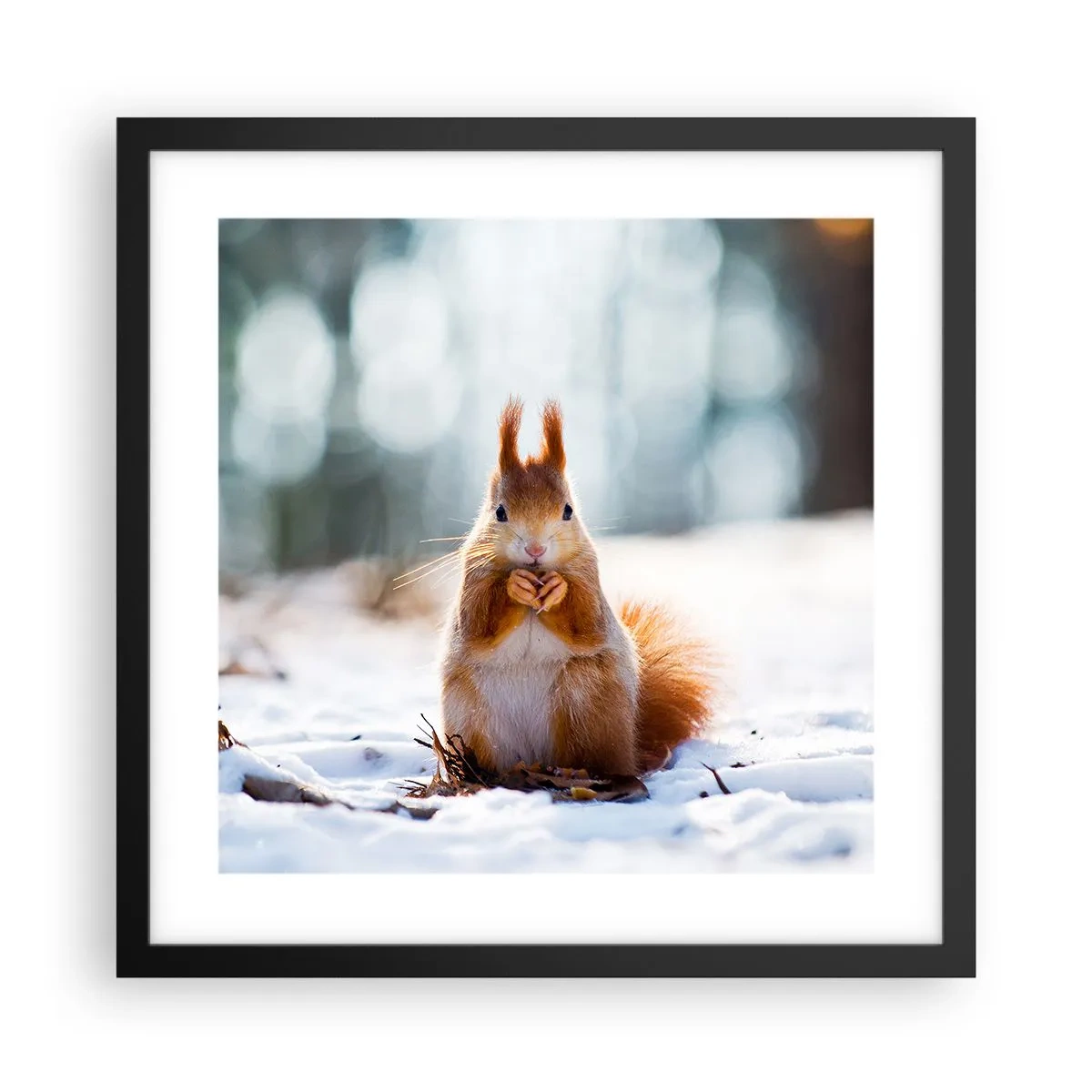 Pôster com moldura preta - Para o que estás a olhar? - 40x40 cm