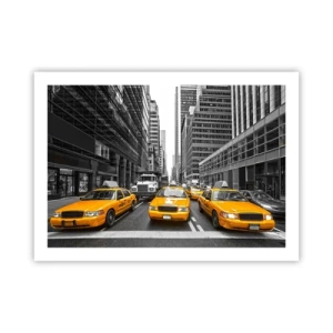 Pôster - Somos a cor da cidade - 70x50 cm