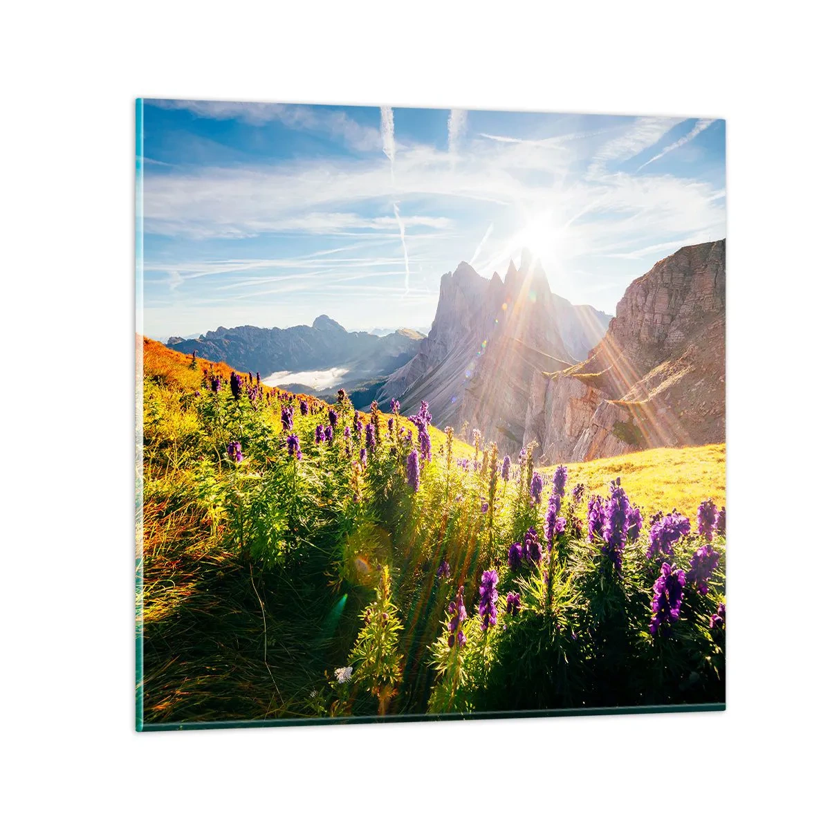 Quadro em vidro - A vida secreta das ervas - 50x50 cm