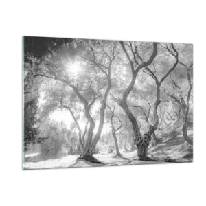 Quadro em vidro - No olival - 120x80 cm