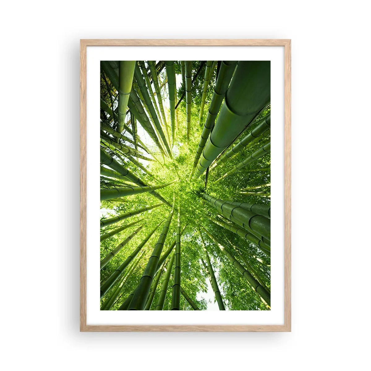 Pôster com moldura de carvalho claro - Em um bosque de bambu - 50x70 cm
