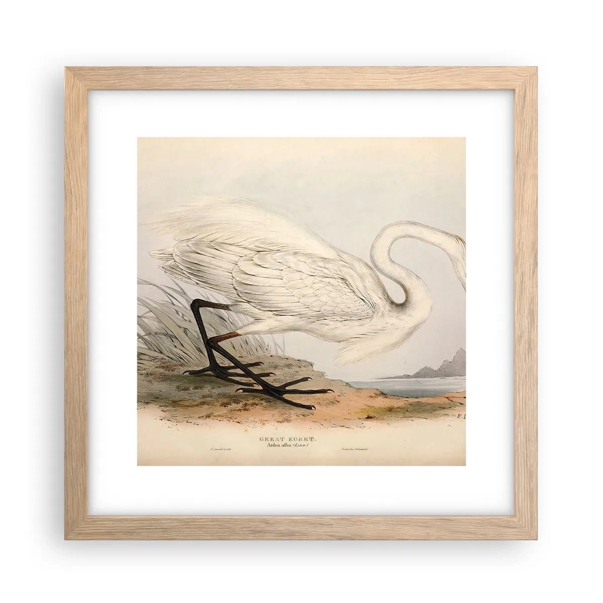 Pôster com moldura de carvalho claro - A senhora nos juncos - 30x30 cm