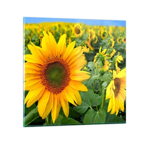 Quadro em vidro - Centenas de sóis brilharam - 70x70 cm