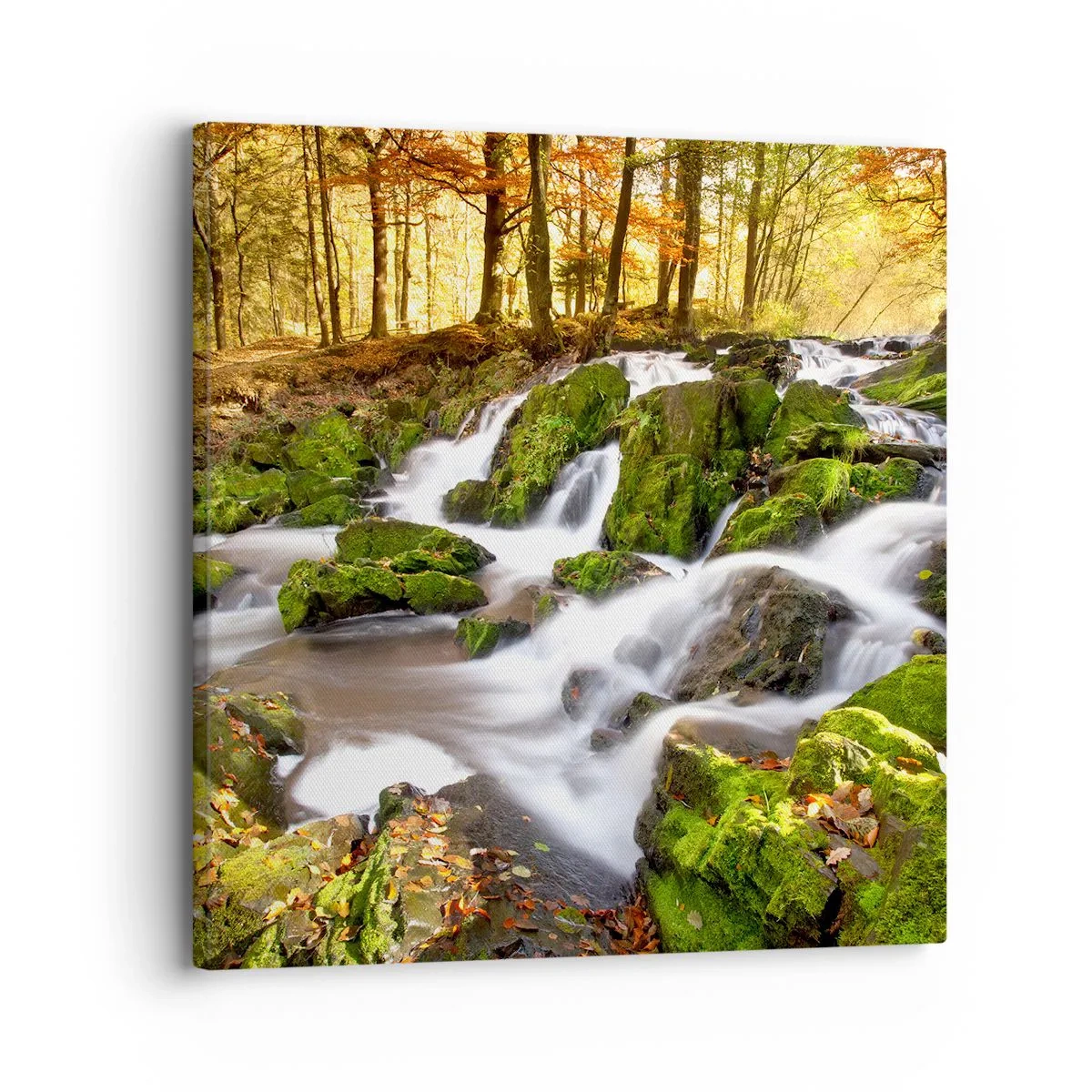 Quadro em tela - Pela floresta de outono - 30x30 cm
