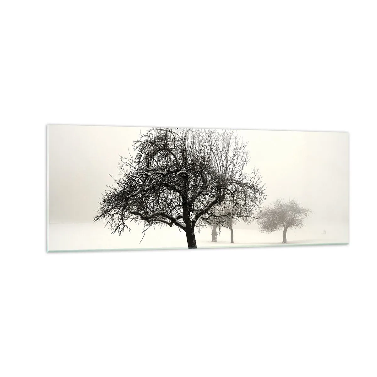 Quadro em vidro - Sono de inverno - 140x50 cm