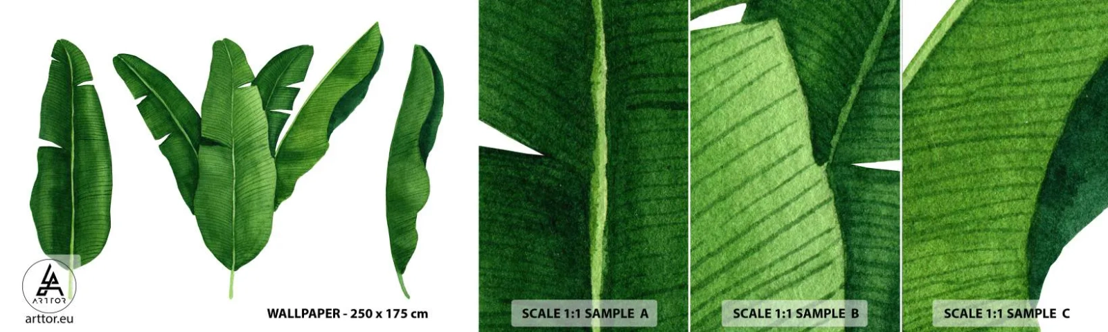 Amostra de Papel de Parede Standard Eco - Simetria verde - Folha de banana, Tropical, Estilo Botânico - 100x30 cm