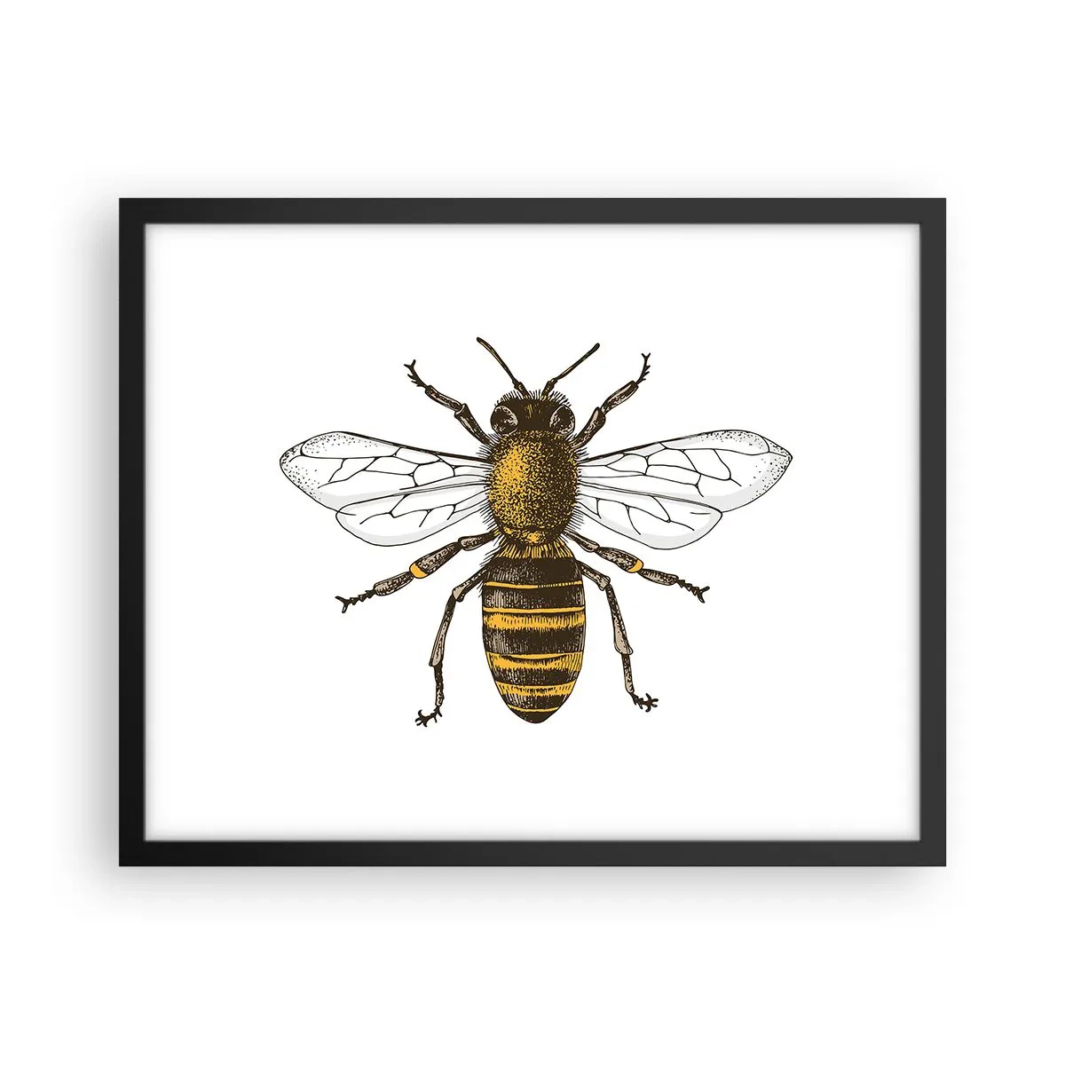 Pôster com moldura preta - Linda e boa - 50x40 cm