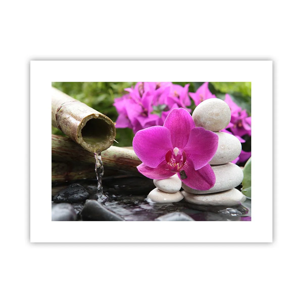 Pôster - Descanso imediato - 40x30 cm