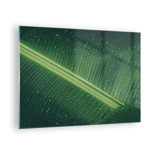 Quadro em vidro - Close-up de uma folha verde com gotas de água - 70x50cm - A estrutura da vegetação - Decoração de parede moderna para a sala de estar e quarto ARTTOR