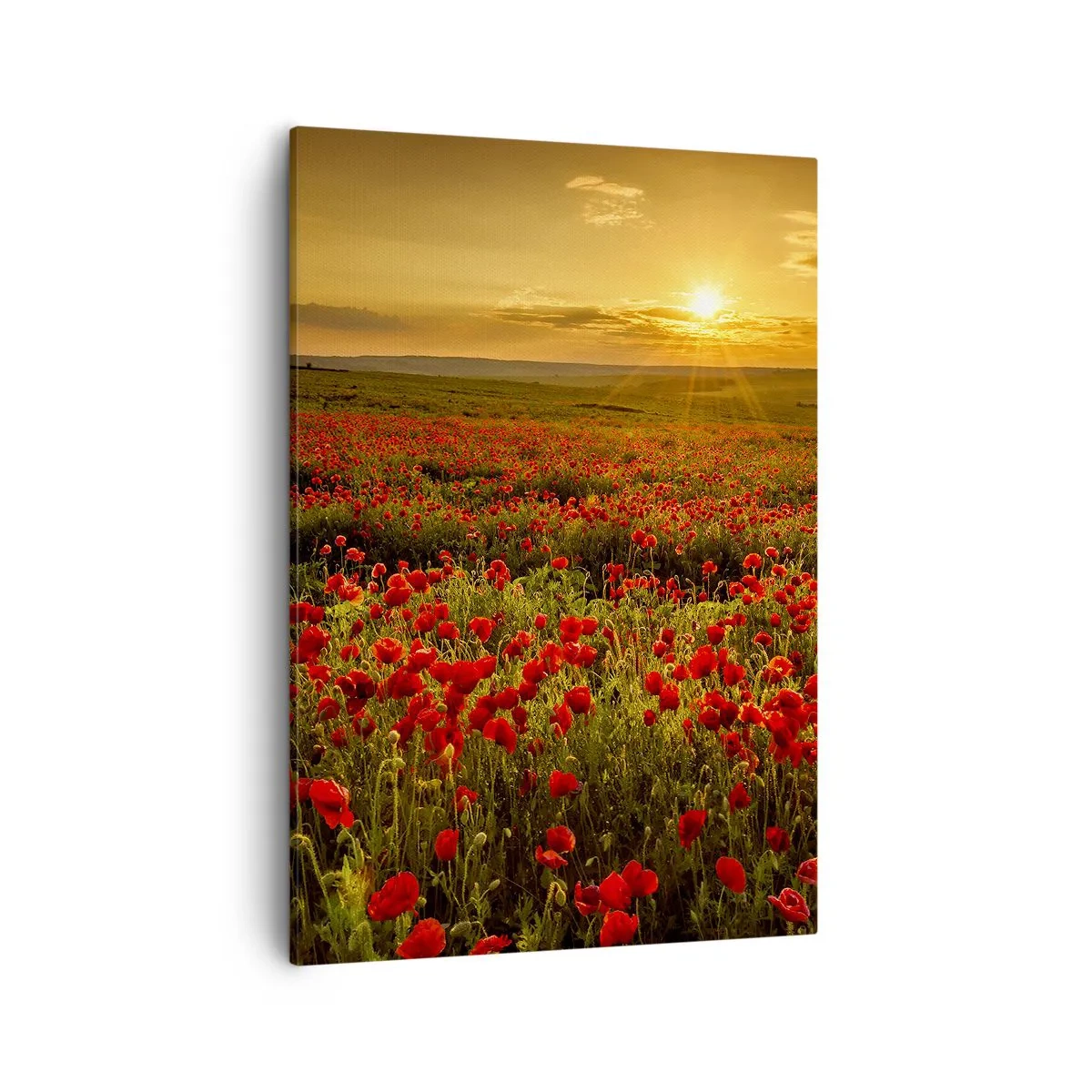 Quadro em tela - Entre o farfalhar da onda de prados, entre o dilúvio das flores - 50x70 cm