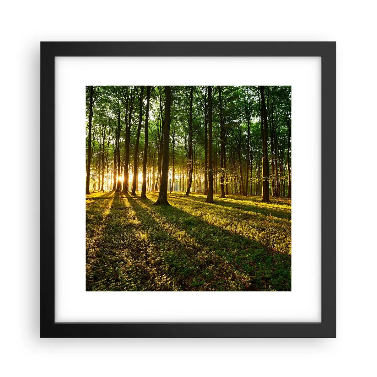 Pôster com moldura preta - Fotografia de todas as primaveras - 30x30 cm