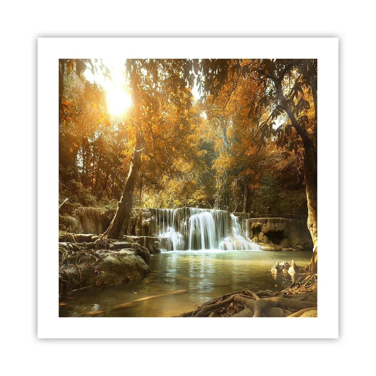Pôster - A cascata do parque - 50x50 cm