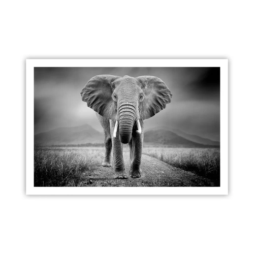 Pôster - O anfitrião dá as boas-vindas - 91x61 cm