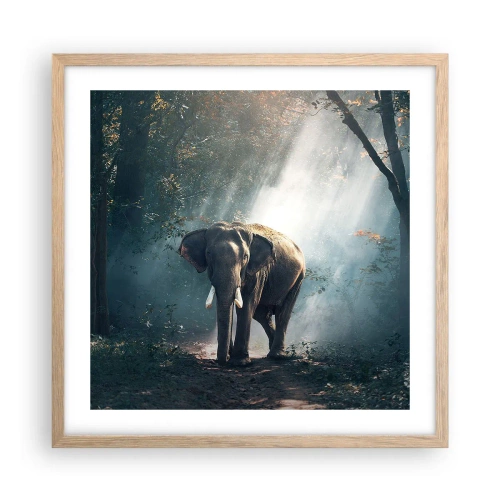 Pôster com moldura de carvalho claro - Um passeio descontraído - 50x50 cm