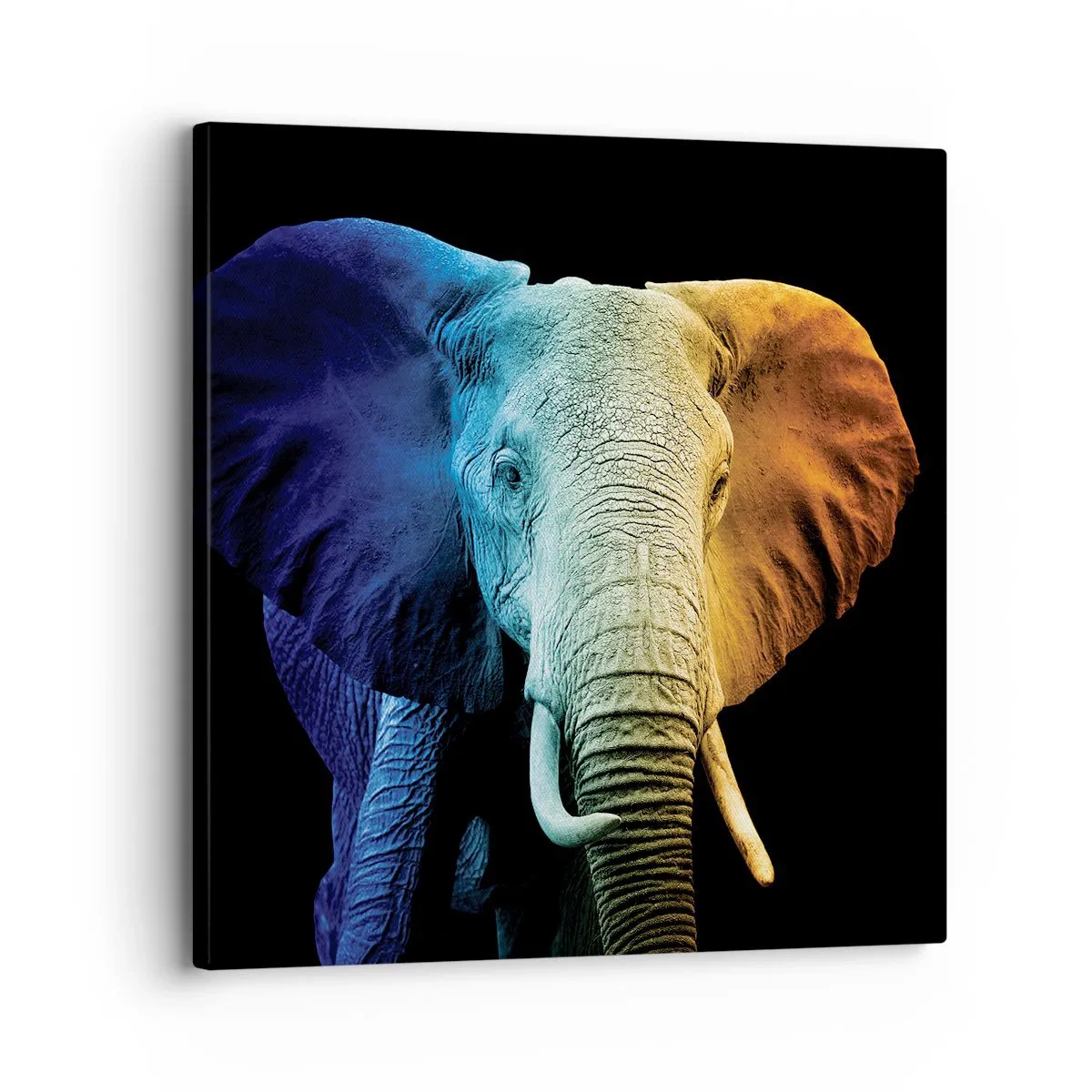 Quadro em tela - Excêntrico, não esquisito - 30x30 cm