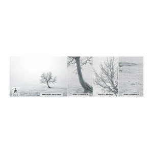 Amostra de papel de parede Premium Canvas - Contra o nada - Paisagem, Árvore, Natureza - 100x30 cm