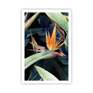 Pôster - Flores ardentes dos trópicos - 61x91 cm