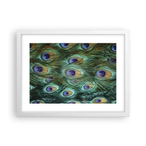 Pôster em moldura branca - Um olhar de pavão - 40x30 cm