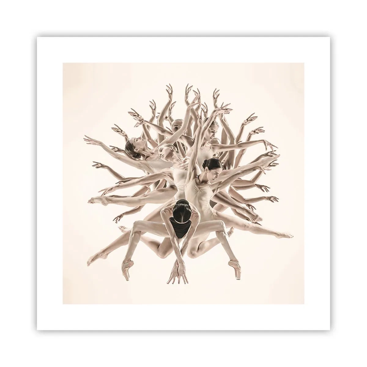 Pôster - Florescendo na dança - 40x40 cm