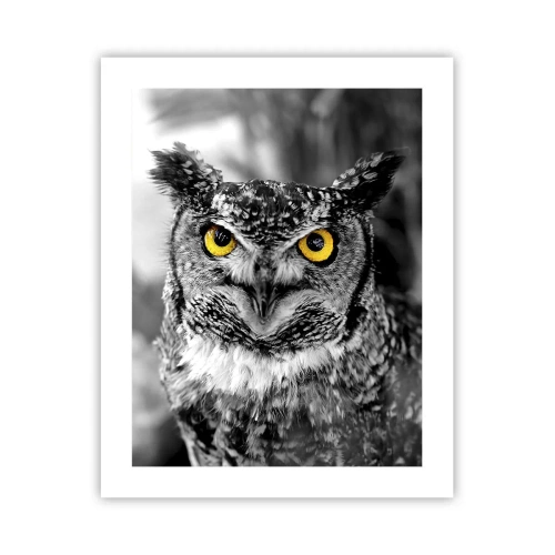 Pôster - Nada pode ser escondido - 40x50 cm