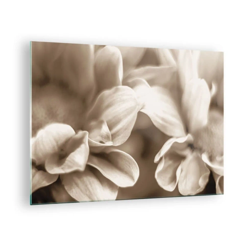 Quadro em vidro - Fotografia macro de pétalas de flores claras em sépia - 70x50cm - Gentil como um sorriso - Decoração de parede moderna para a sala de estar e quarto ARTTOR
