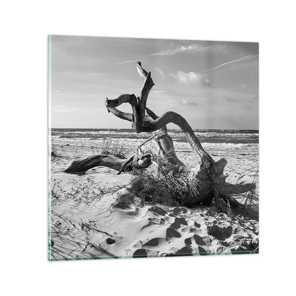 Quadro em vidro - Escultura do mar - 40x40 cm