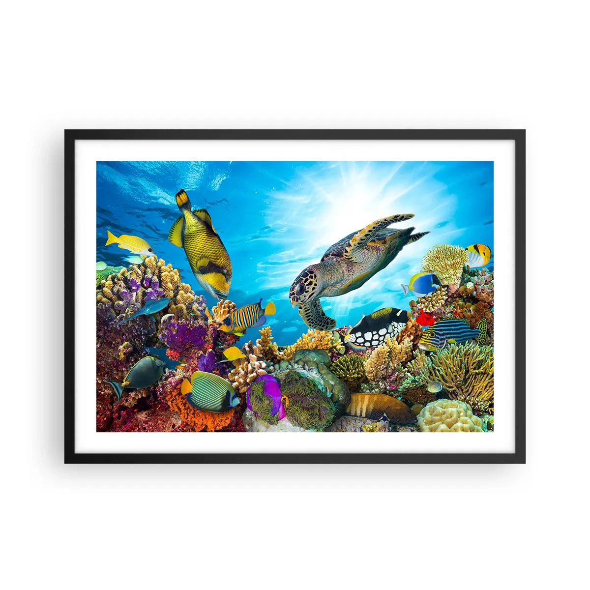 Pôster com moldura preta - Alameda dos corais - 70x50 cm