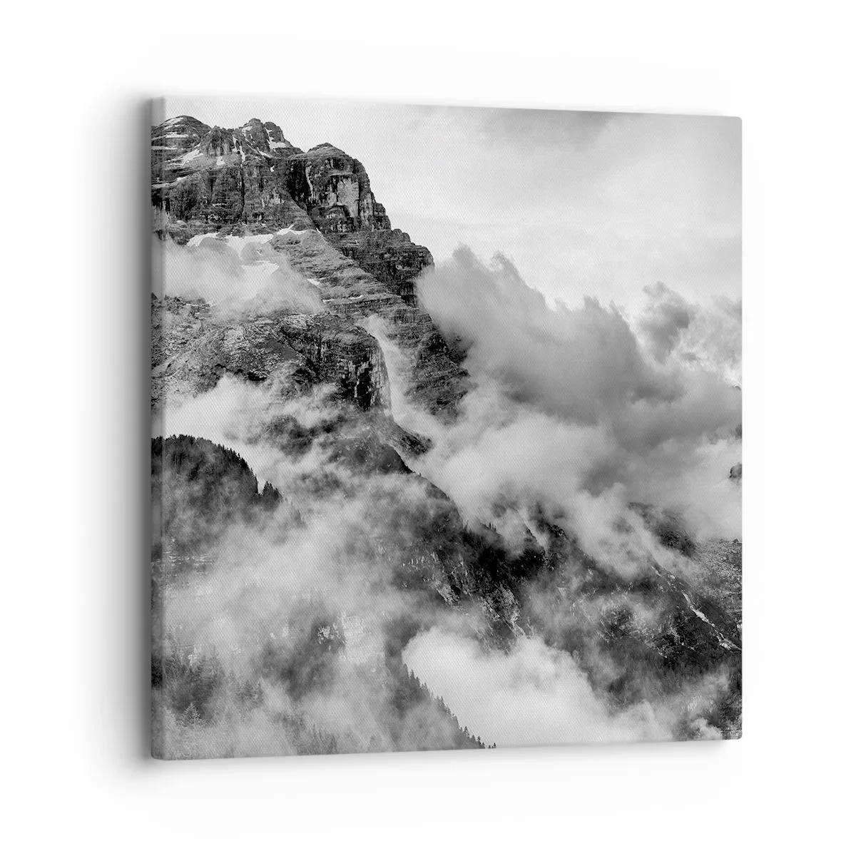 Quadro em tela - Bonitas e cruéis - 30x30 cm