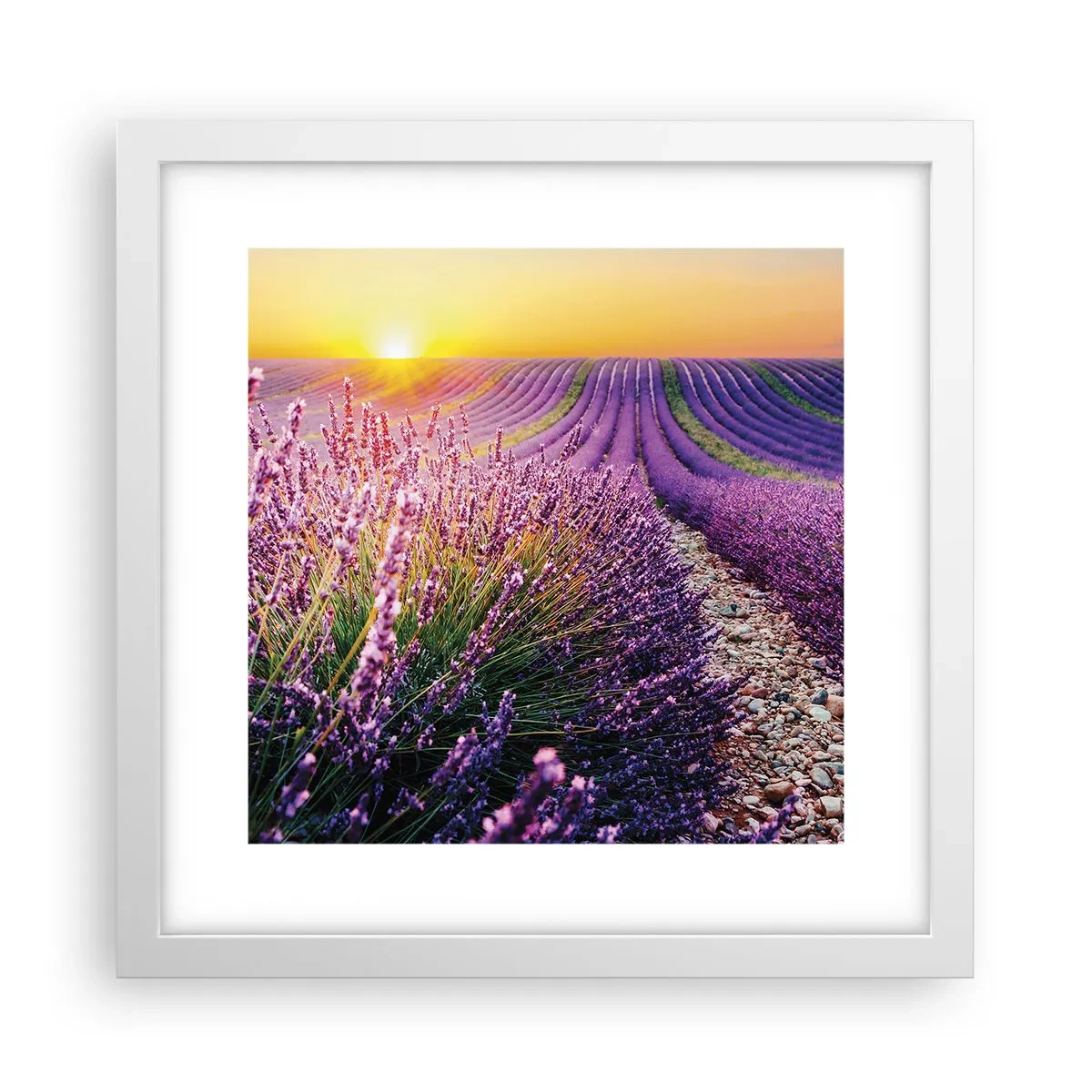 Pôster em moldura branca - Prado perfumado - 30x30 cm