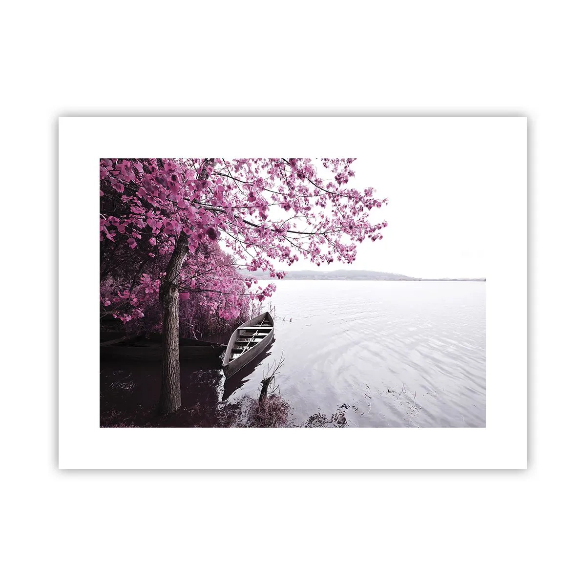 Pôster - Em silêncio cor-de-rosa - 40x30 cm