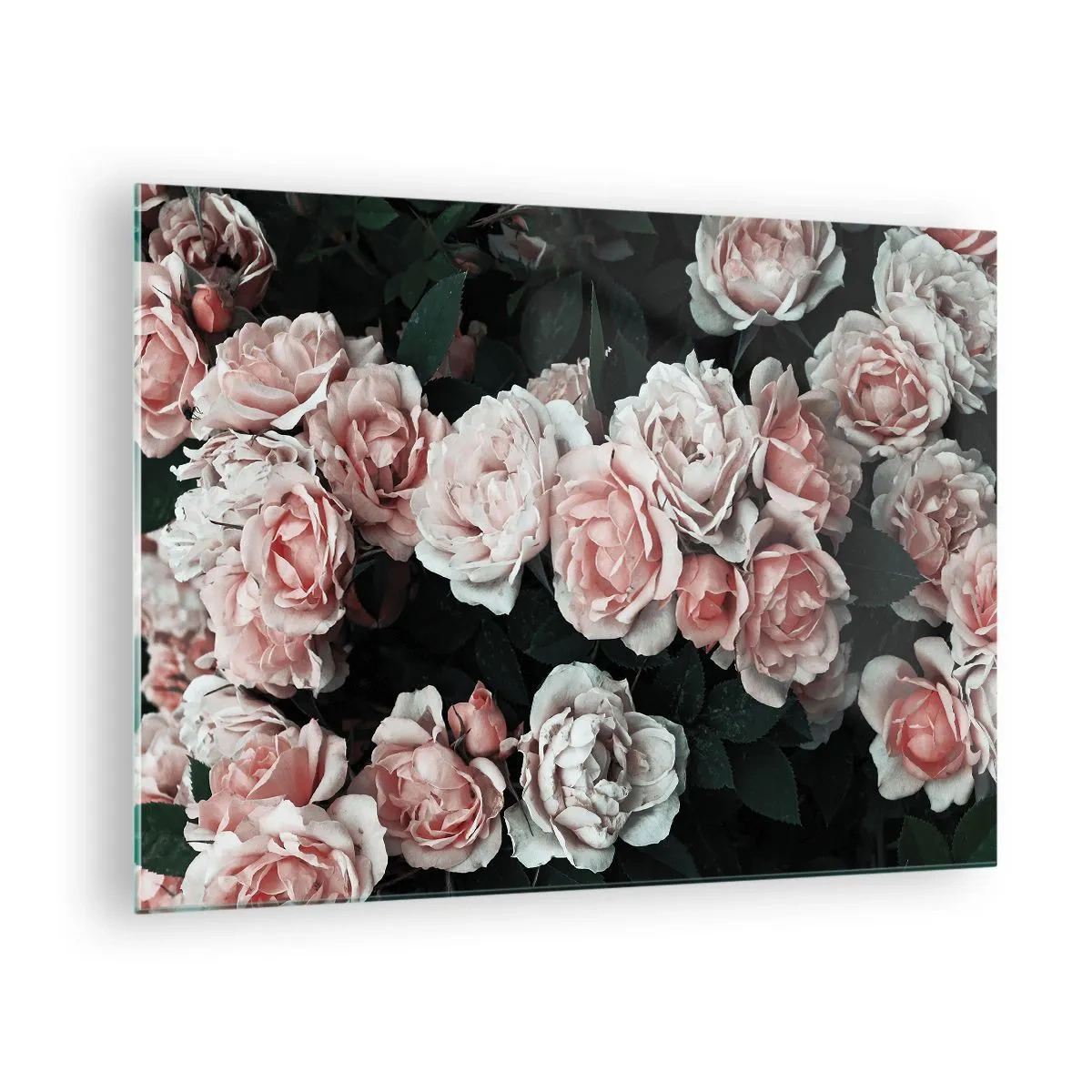 Quadro em vidro - Um close-up de um buquê de rosas cor-de-rosa em um fundo escuro - 70x50cm - Conjuntos de rosas - Decoração de parede moderna para a sala de estar e quarto ARTTOR