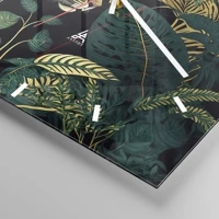 Mostrador com traços