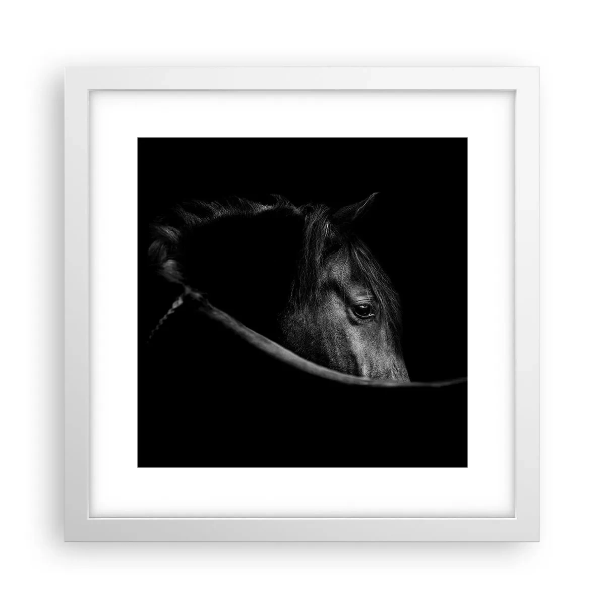 Pôster em moldura branca - Príncipe Negro - 30x30 cm