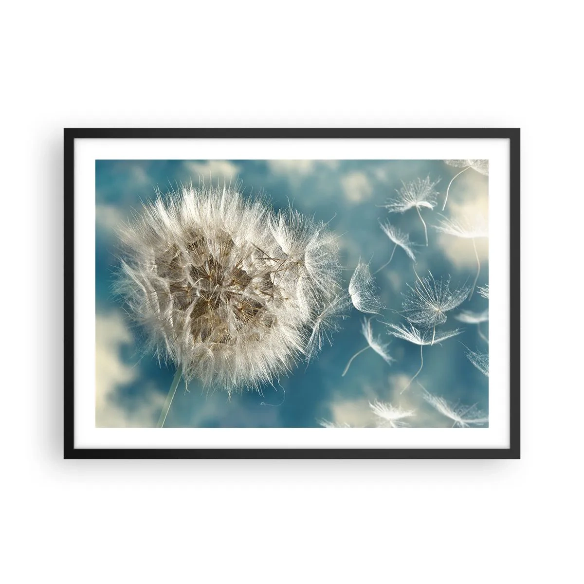 Pôster com moldura preta - Respiração de um anjo - 70x50 cm