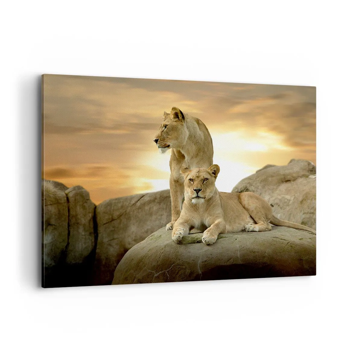 Quadro em tela - Majestade real - 100x70 cm