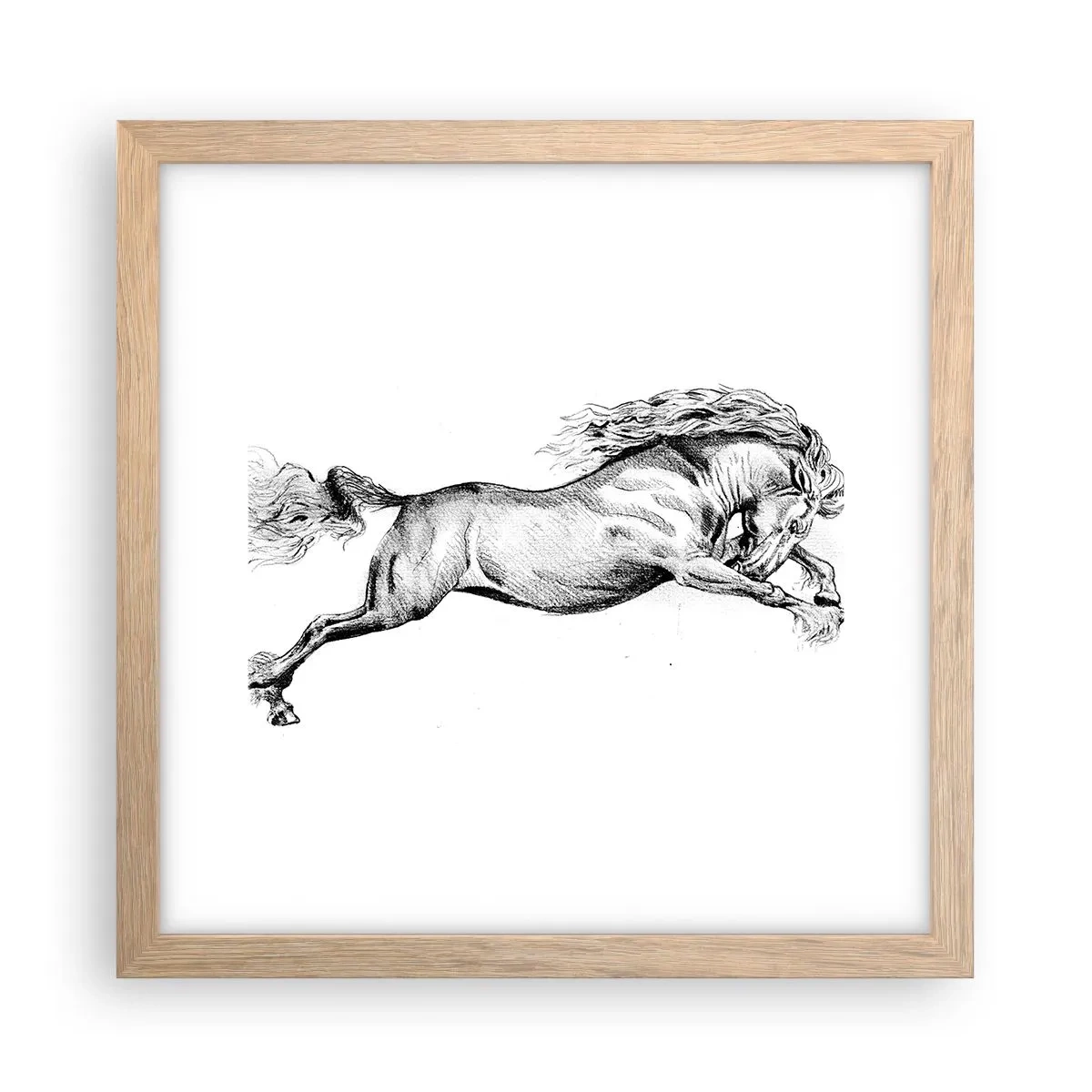 Pôster com moldura de carvalho claro - Parado a galope - 30x30 cm