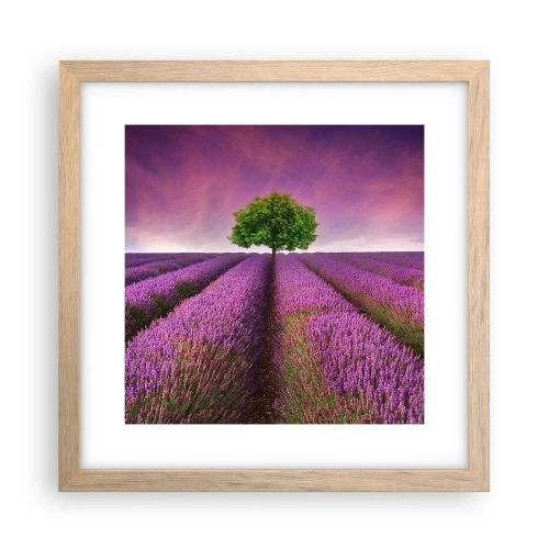 Pôster com moldura de carvalho claro - Nos campos de lavanda - 30x30 cm