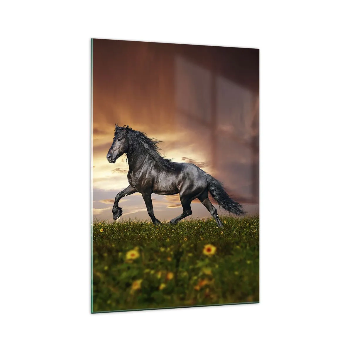 Quadro em vidro - O Príncipe Negro - 70x100 cm