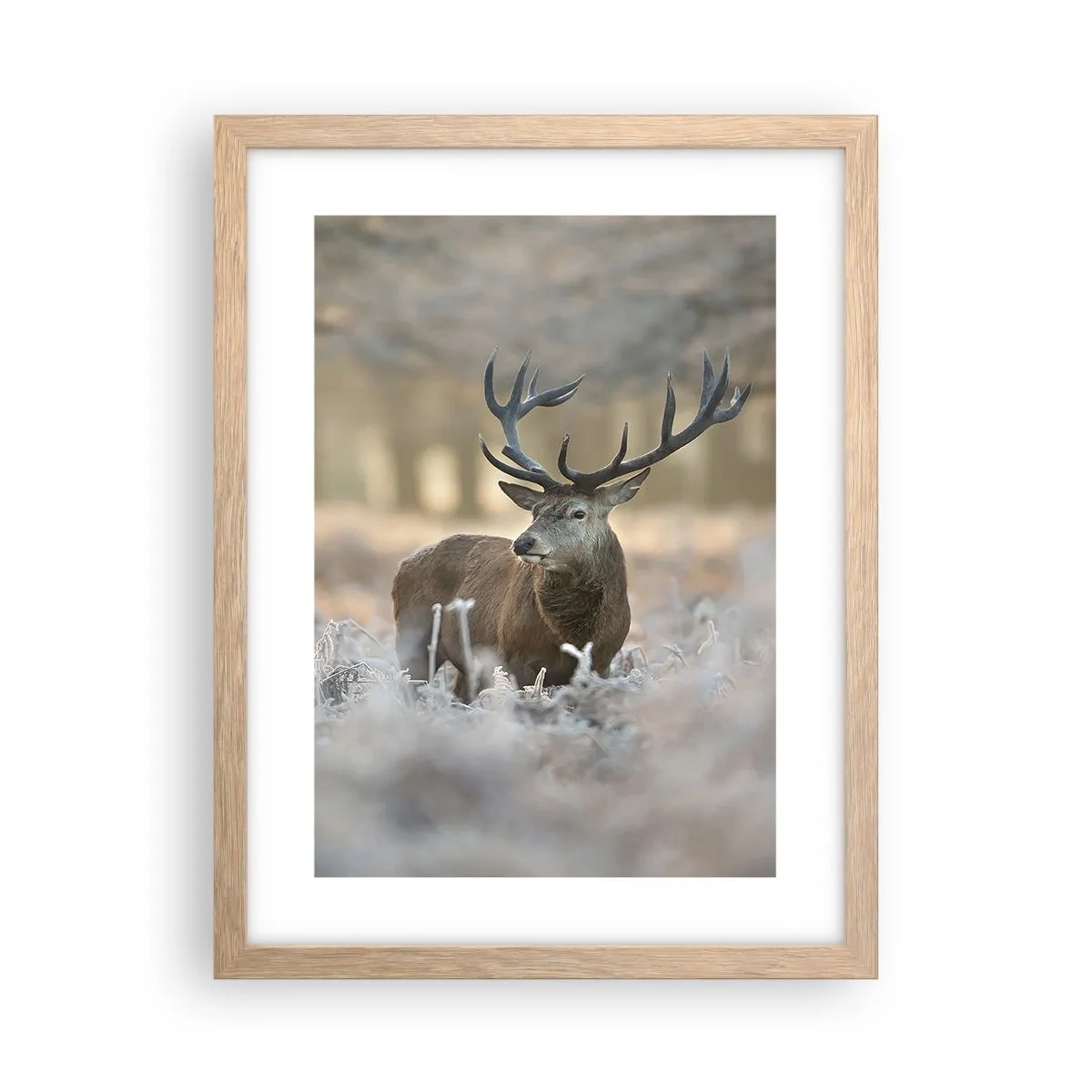 Pôster com moldura de carvalho claro - Uma manhã fresca - 30x40 cm