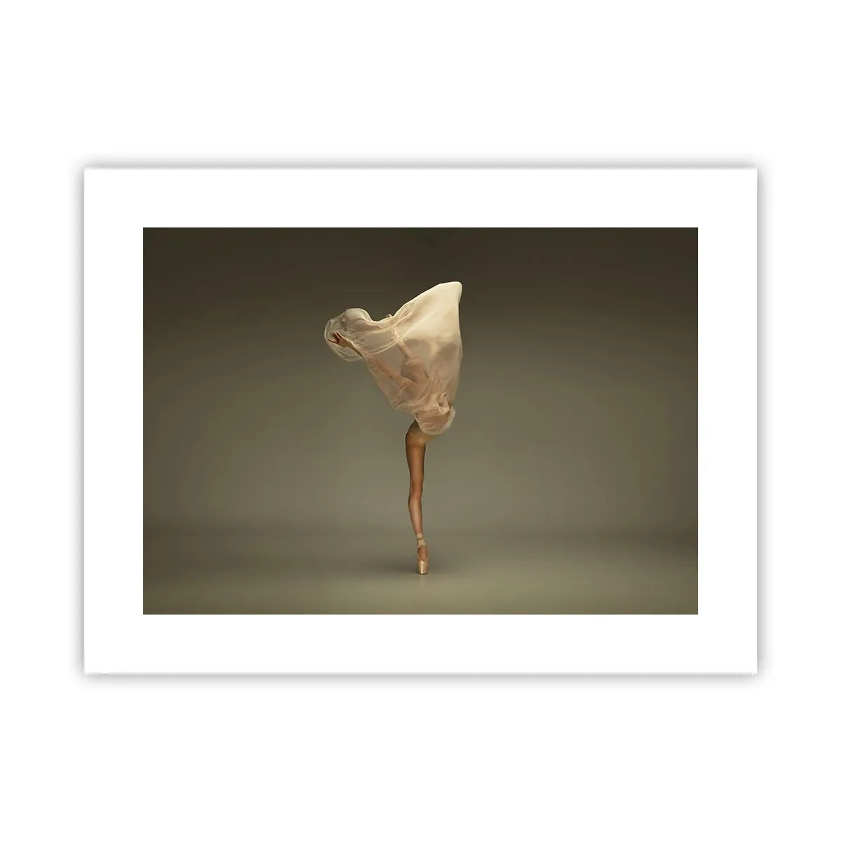 Pôster - Prestes a voar - 40x30 cm