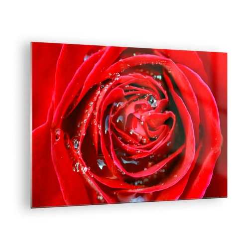 Quadro em vidro - Close-up de uma rosa vermelha com gotas de orvalho - 70x50cm - Em gotas de orvalho - Decoração de parede moderna para a sala de estar e quarto ARTTOR