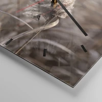 Mostrador com traços