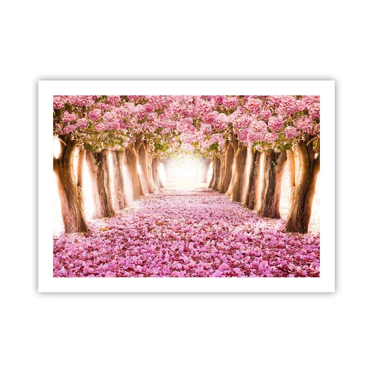 Pôster - O Caminho para o Paraíso - 70x50 cm