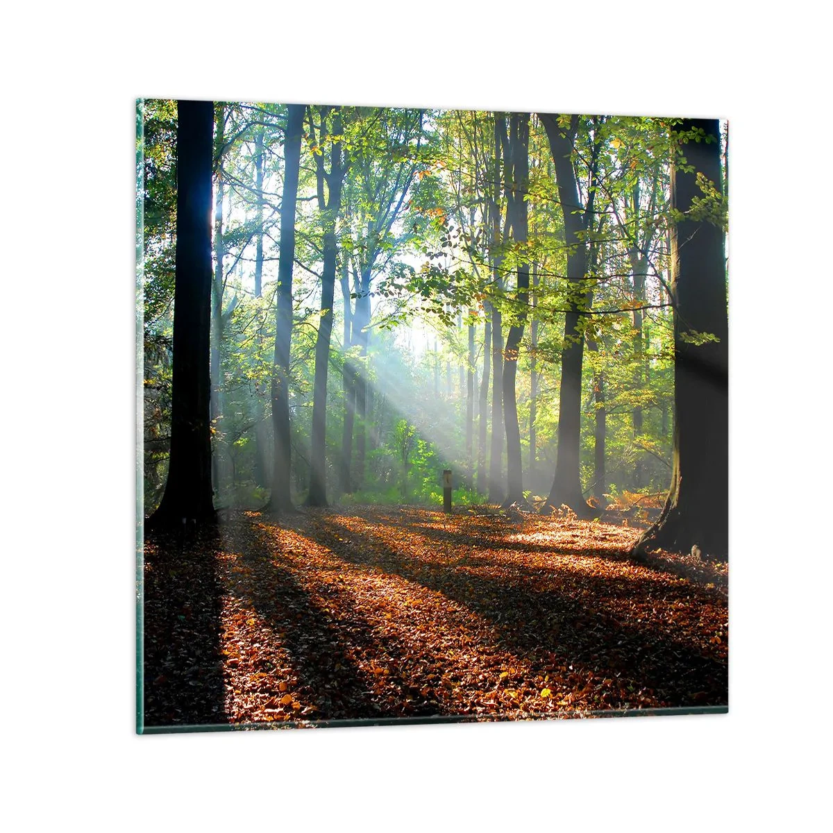 Quadro em vidro - Luzes e sombras - 60x60 cm