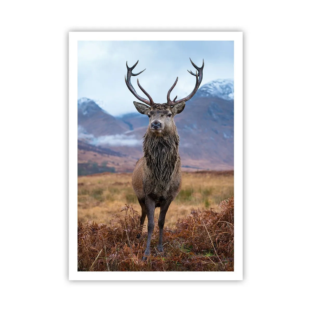 Pôster - Na sua própria terra - 70x100 cm