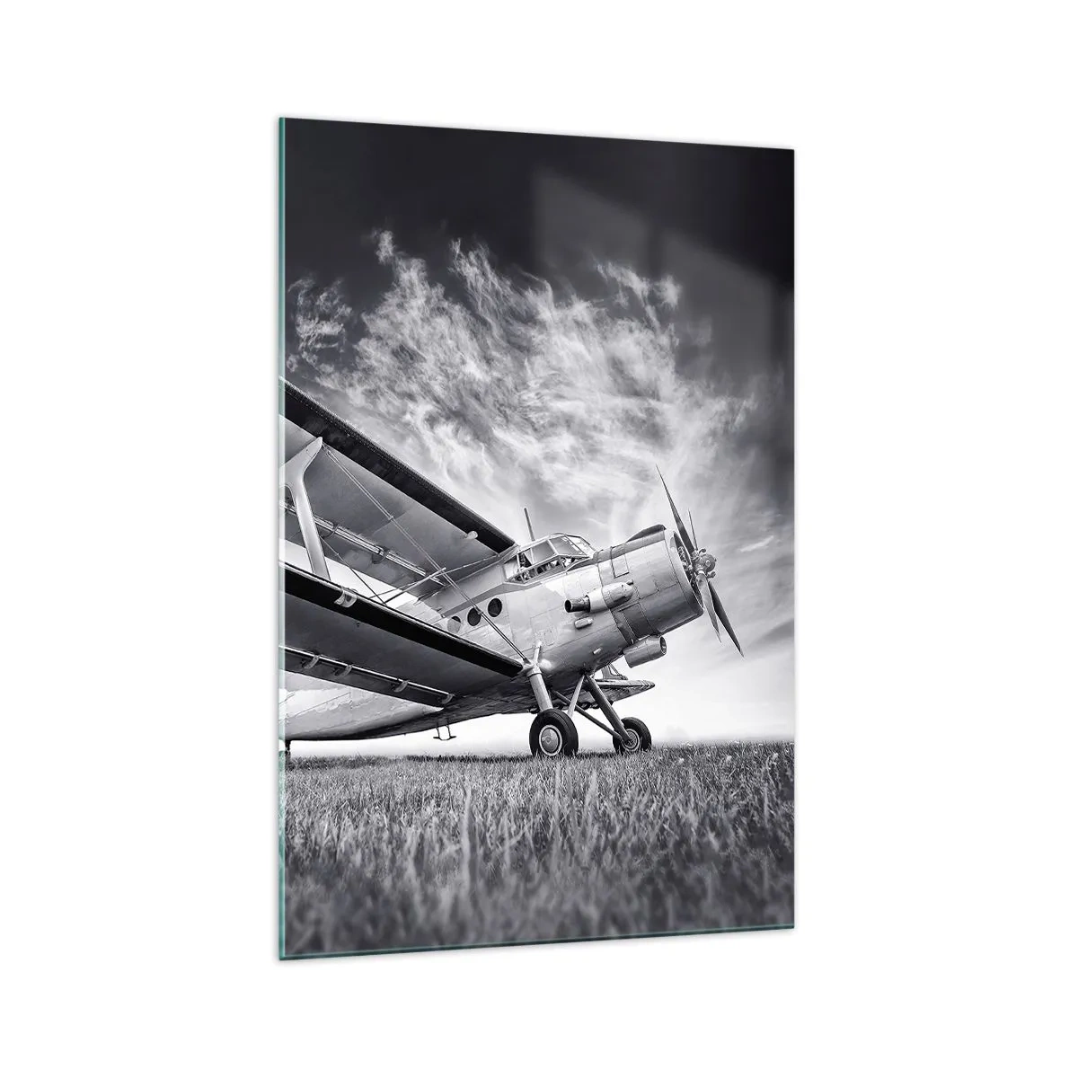 Quadro em vidro - Andarilho alado - 70x100 cm