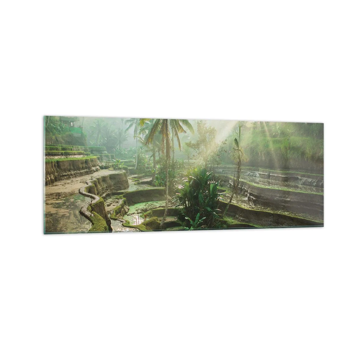 Quadro em vidro - Crescer ao sol - 140x50 cm